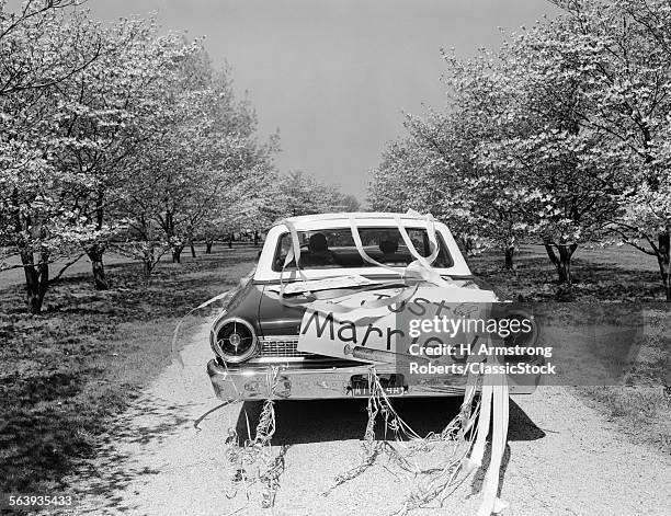 1960s REAR OF CAR WITH JUST MARRIED SIGN AND STREAMERS DRIVING ALONG ROAD OF FLOWERING TREES