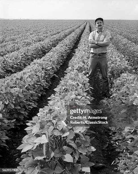 1970s MAN STANDING WITH ARMS CROSSED AMONG ROWS OF LARGE SOYBEAN CROP LOOKING AT CAMERA