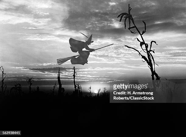 SUNSET OVER CORNFIELD WITH SILHOUETTE OF WITCH ON BROOMSTICK FLYING THROUGH THE SKY