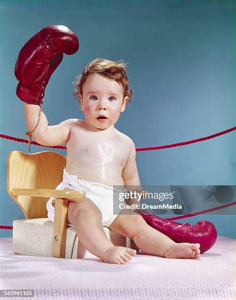Boxing Baby 55 Baby Boxing Gloves Stock Photos, High-Res Pictures, and Images ...