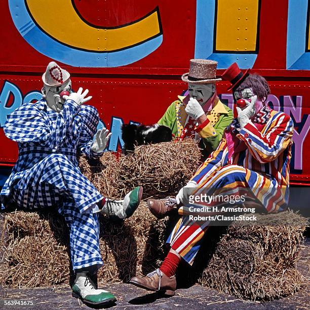 3 CIRCUS CLOWNS HOLDING THEIR NOSES WITH SKUNK ON HAY BALE