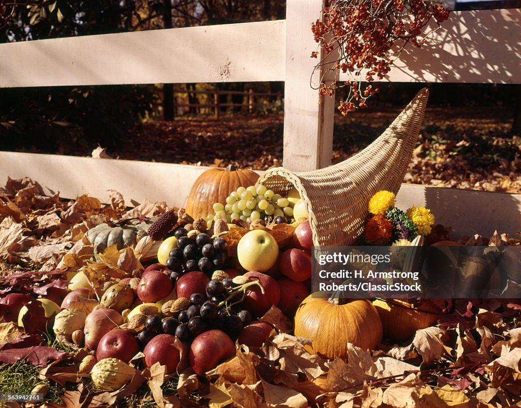 1960s AUTUMN SCENIC WITH...