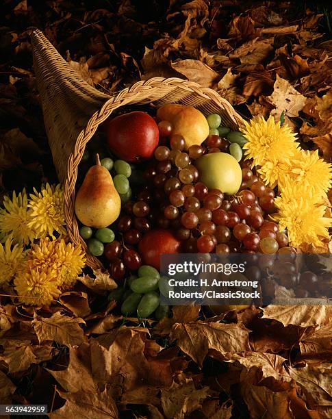 1970s WICKER HORN OF PLENTY FILLED WITH FRUIT APPLES PEARS GRAPES ON TOP OF AUTUMN LEAVES