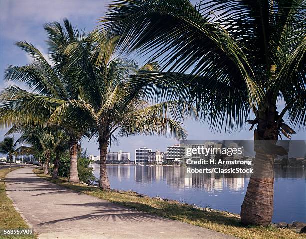 1960s PALM TREE LINED STREET SKYLINE VIEW OF CONDADO BEACH HIGH RISE HOTELS SAN JUAN PUERTO RICO