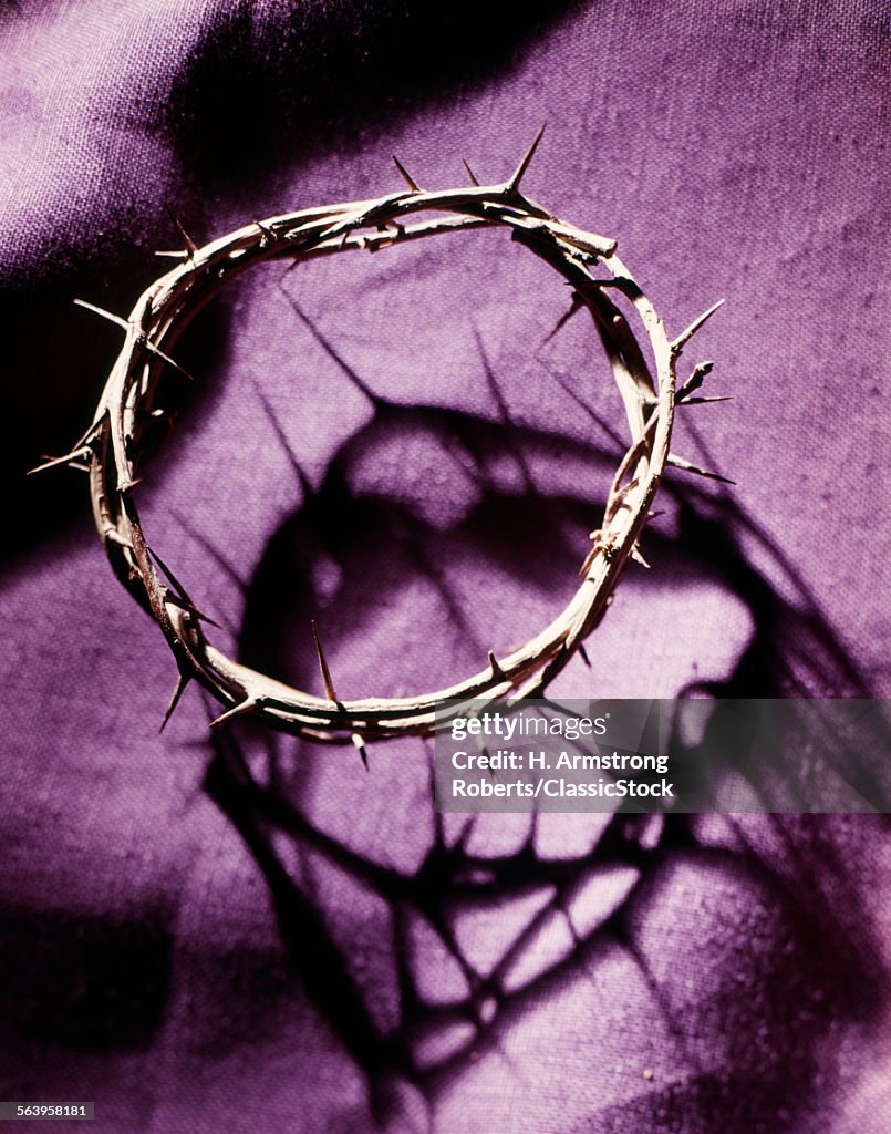 CROWN OF THORNS ON PURPLE...