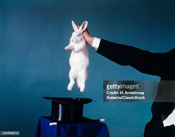 1960s HAND OF MAGICIAN PULLING WHITE RABBIT OUT OF BLACK TOP HAT