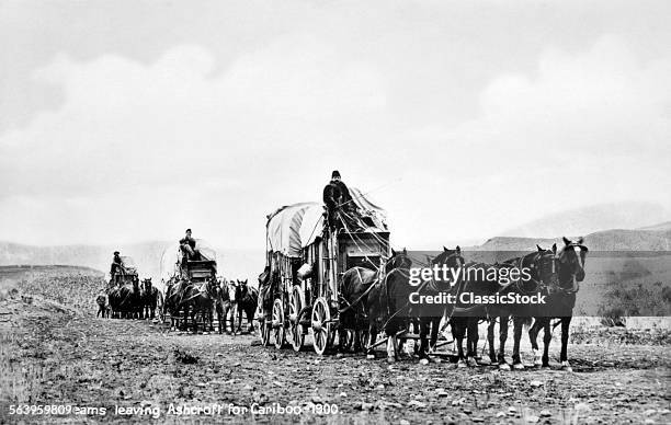 1900s OLD POST CARD OF COVERED FREIGHT WAGONS DRAWN BY TEAMS OF HORSES LEAVING ASHCROFT FOR CARIBOO CANADA