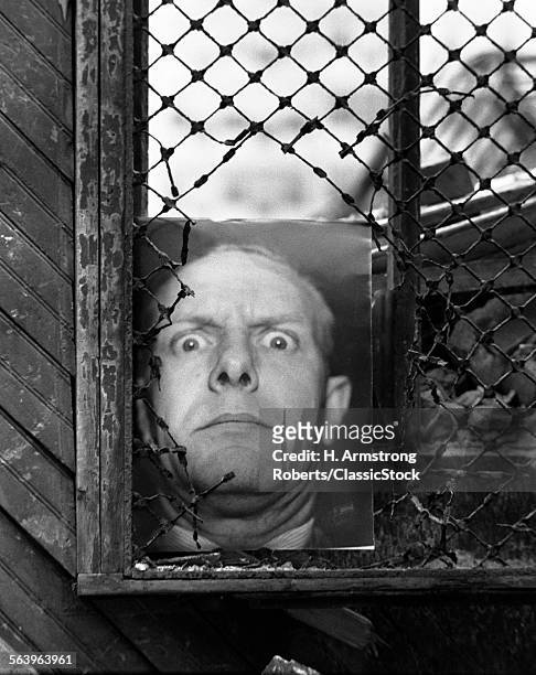 STILL LIFE OF PHOTO OF MAN WITH CRAZED EXPRESSION PLACED IN WINDOW WITH CHICKEN WIRE PARTLY TORN AWAY