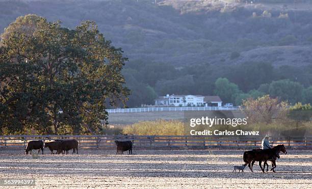 Hiddenvallet Ranch Hidden Valley Ranch Photos and Premium High Res Pictures - Getty Images