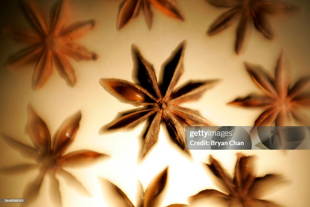 Star Anise is the supplement of the week.