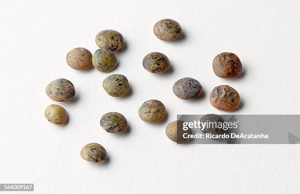 Corti Brothers French Green Lentils photographed in the Los Angeles Times via Getty Images studio, January 24, 2013.;