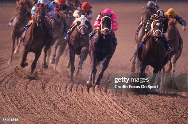 Jockey Steve Cauthen rides on Affirmed who takes the lead against jockey Jorge Velasquez and Alydar during the Belmont Stakes to win the Triple Crown...