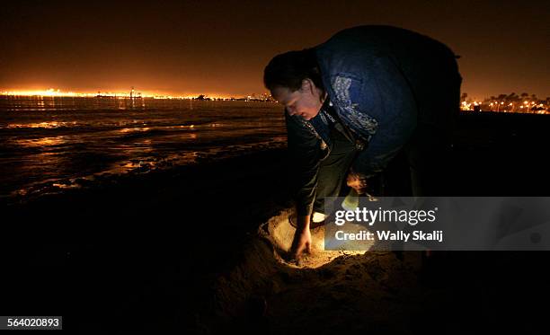 Volunteer reasercher Irene Johnson pulls grunion out of a tire track so they came return to the water on the beaches of Belmont Shore in Long Beach...