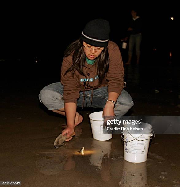   Sonya Fung, on Laguna's main beach gathering silvery, sixinch long grunion fish Tuesday night. Sonya is one of several Pomona College students...