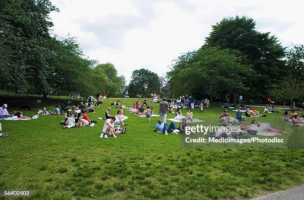 people relaxing on grass in central park, new york, ny, usa - busy park stock pictures, royalty-free photos & images