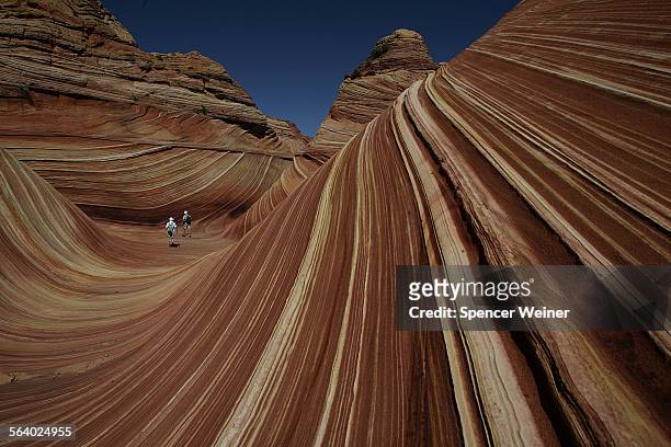Hikers among the rock formations at "the Wave" in the Coyote Buttes area of the Paria CanyonVermillion Cliffs Wilderness on the Utah/Arizona border....