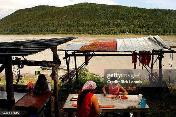 Tanana, AlaskaFaith Peters and Haley Brigham cut King salmon into strips at the fish camp on a stretch of the Yukon River called the Rapids. The...