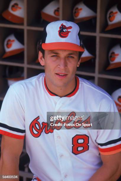 Baltimore Orioles' shortstop Cal Ripken Jr. #8 watches the action on the field from the dugout during a game at Memorial Field circa the 1980's in...