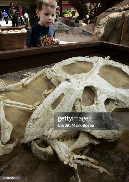 Matthew Ross from Arizona looks at one of the interactive dinsaur fossil displays at The latest exhibit at the Discovery Science Center in Santa Ana...