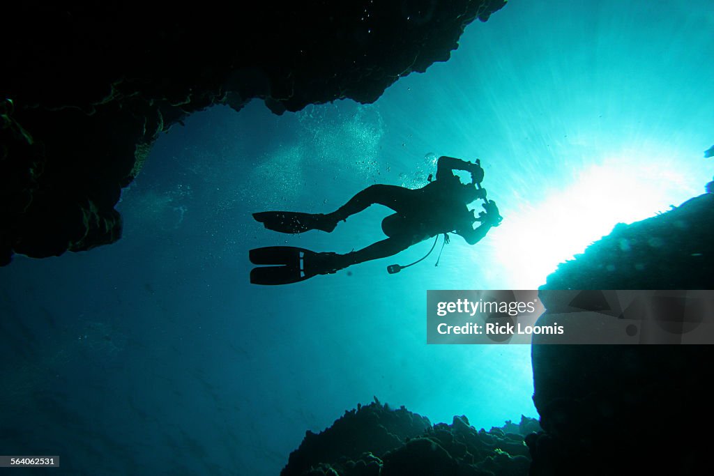 Discovery Bay, Jamaica  Jeremy Jackson, a marine scientist with Scripps Institution of Oceanograph