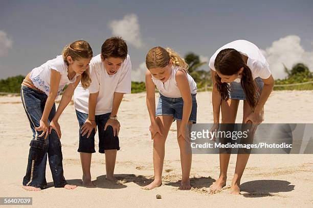boy with three children looking at a seashell on the sand - 13 year old girls in shorts stock pictures, royalty-free photos & images