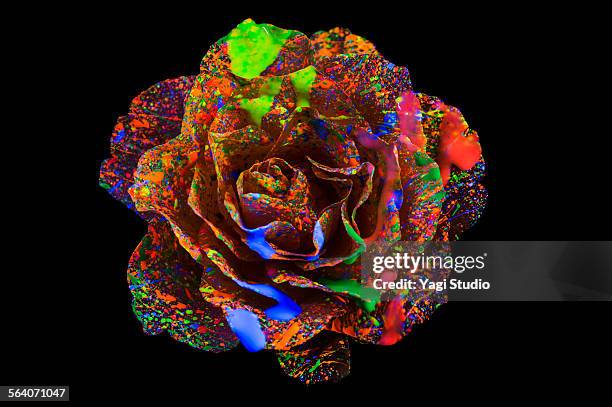 flower on color ink illuminating with black light - red rose pattern stock pictures, royalty-free photos & images