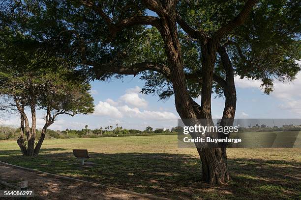 The Resaca de la Palma Battlefield, in Brownsville, Texas