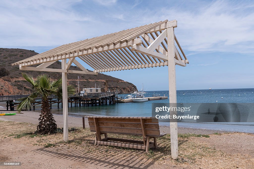 Santa Catalina Island, a rocky island off the coast of California