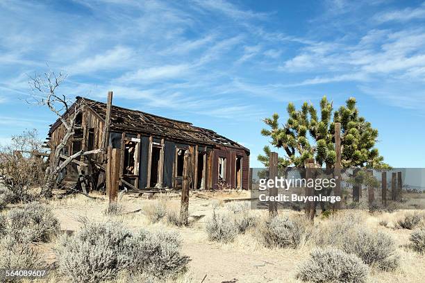 Abandoned cabin near the ghost town of Cima in the Mojave National Preserve in California