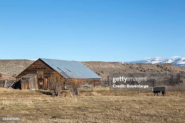 Modoc County Ranching 73 Modoc County California Stock Photos, High-Res Pictures, and Images ...
