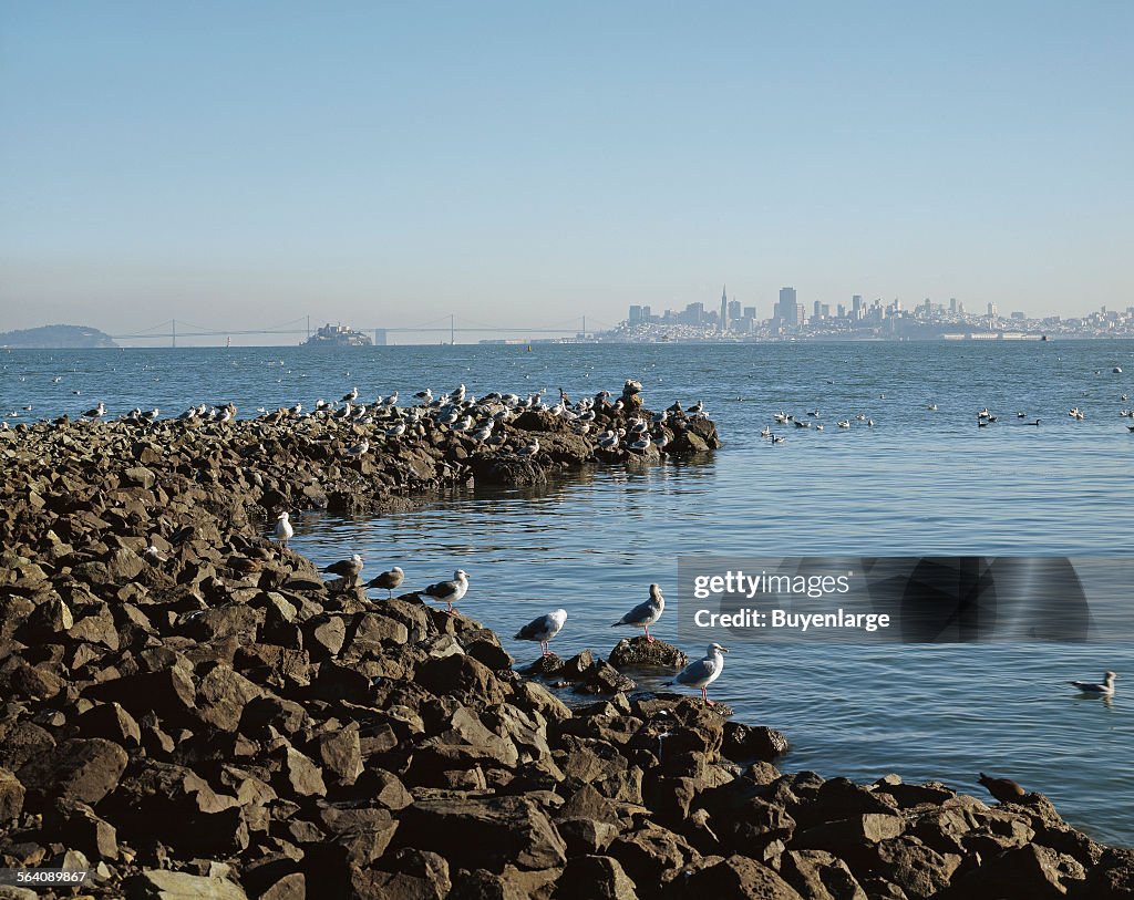 Sausalito, California