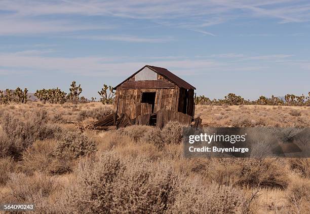 Abandoned cabin near the ghost town of Cima in the Mojave National Preserve in California