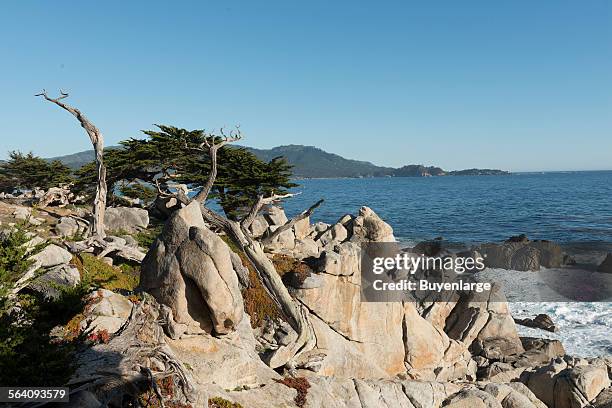 Views from 17-Mile Drive, a scenic road through Pacific Grove and Pebble Beach on the Monterey Peninsula in California