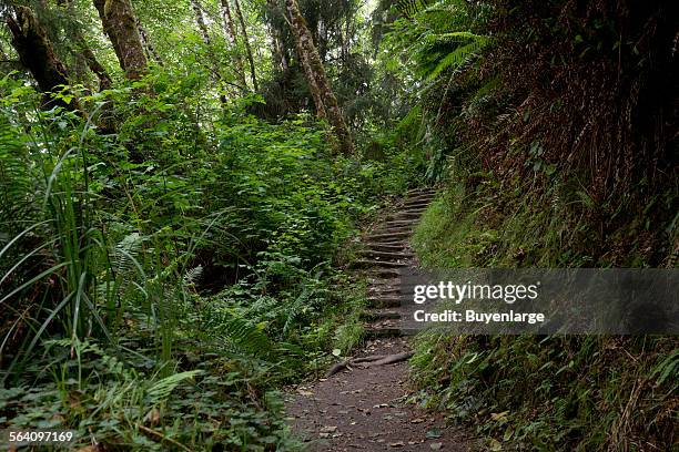 Fern Canyon is a canyon in the Prairie Creek Redwoods State Park in Humboldt County, California