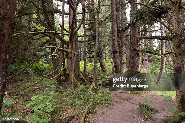 Fern Canyon is a canyon in the Prairie Creek Redwoods State Park in Humboldt County, California