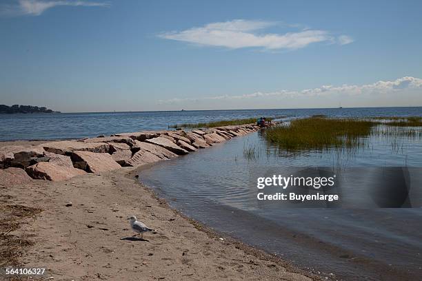 Compo Beach Compo Beach Photos and Premium High Res Pictures - Getty Images