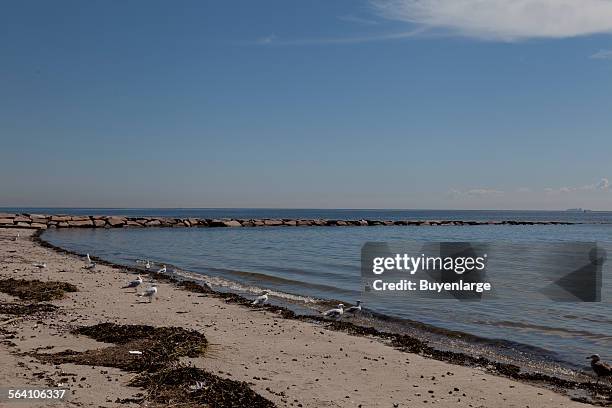 Compo Beach Compo Beach Photos and Premium High Res Pictures - Getty Images