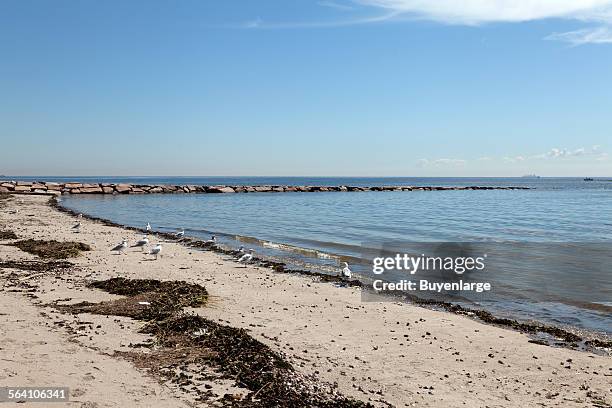 Compo Beach 1,817 Westport Connecticut Stock Photos, High-Res Pictures, and Images ...