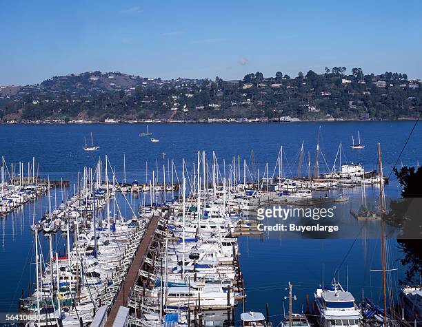 Sausalito Harbor in Marin County, across the Golden Gate straits from San Francisco, California