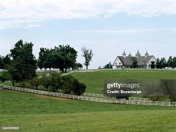 Horses graze on a farm in bluegrass horse country, Lexington, Kentucky