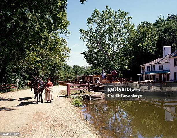 Costumed interpreter with a mule on the canal towpath at the Chesapeake and Ohio Canal National Historical Park in Maryland