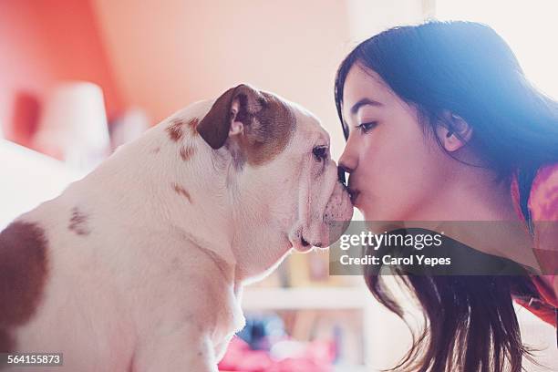 kissing bulldog puppy - people kissing stock pictures, royalty-free photos & images