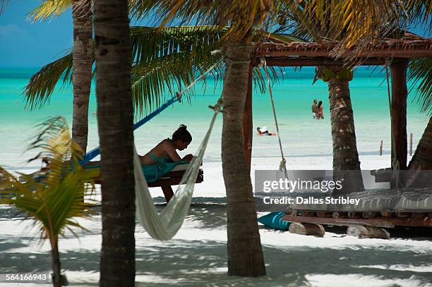 the beautiful tropical island beach front, holbox - isla holbox stock-fotos und bilder