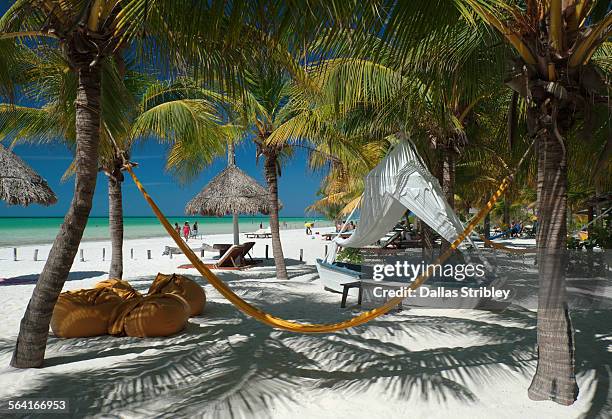 tropical island beachfront, holbox, mexico - isla holbox fotografías e imágenes de stock