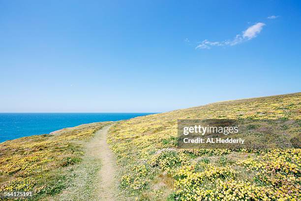 Vetch Bay 66 Porthcothan Bay Stock Photos, High-Res Pictures, and Images - Getty ...