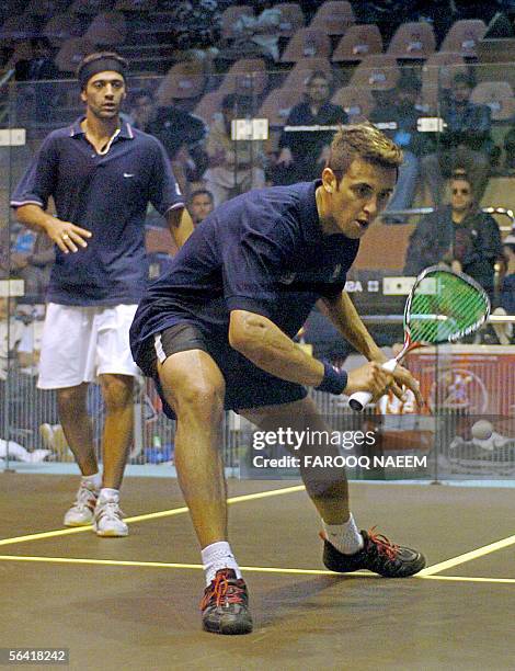 73 Mushaf Squash Complex Stock Photos, High-Res Pictures, and Images ...