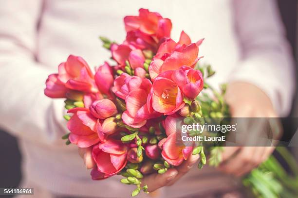 close-up of a woman holding a bunch of freesia flowers - freesia stockfoto's en -beelden