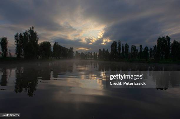 xochimilco - xochimilco stock pictures, royalty-free photos & images