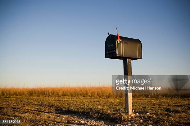 a mailbox stands alone in a kansas corn field as the sun sets beyond the horizon. - mailbox foto e immagini stock