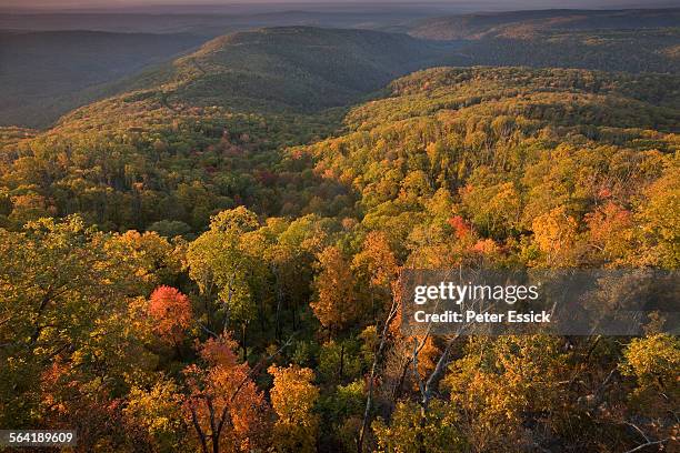 white rock mountain, ozark highlands trail, arkansas - ozark mountains stockfoto's en -beelden